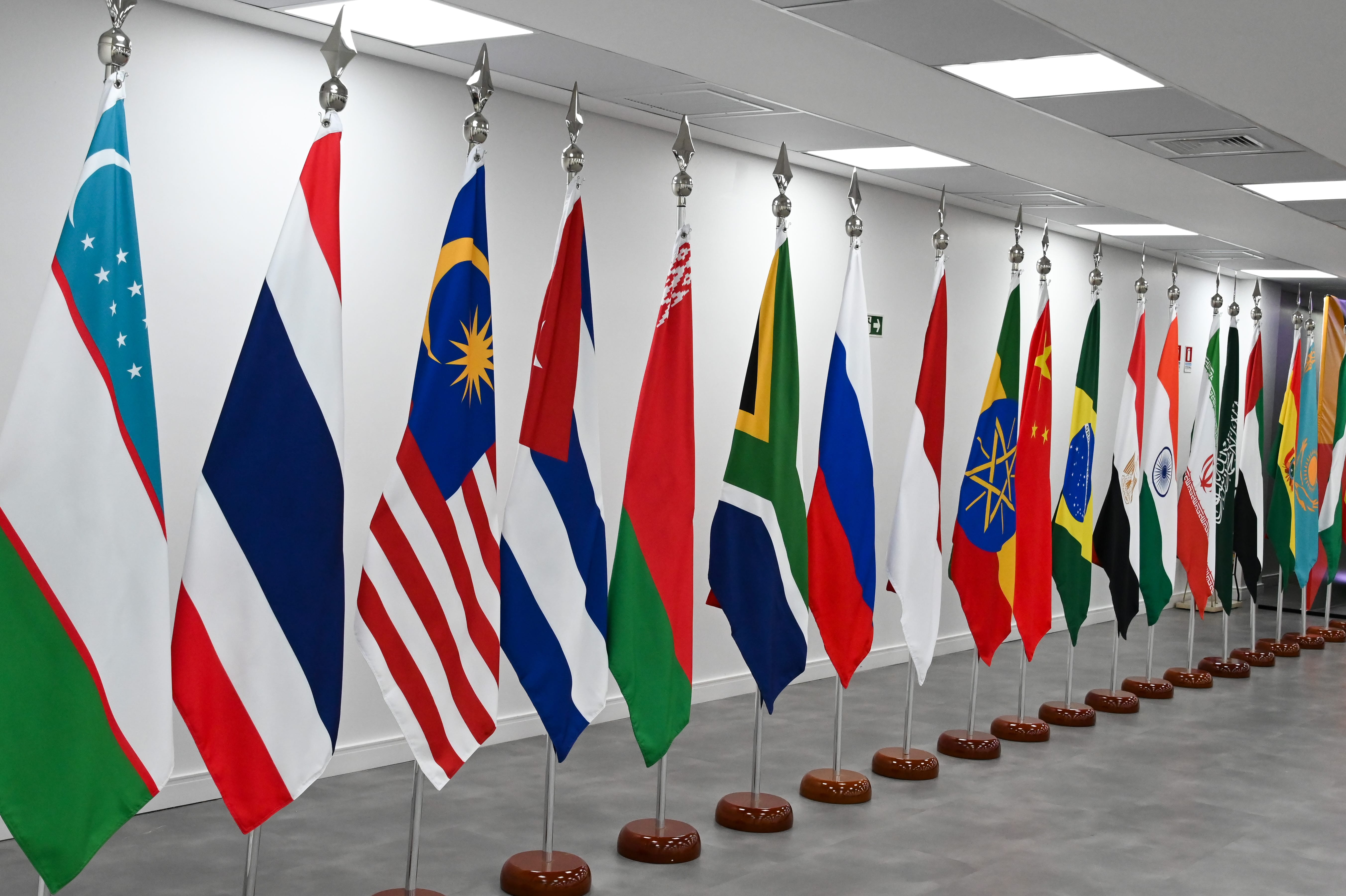 Fiocruz representa Brasil em reunião do BRICS