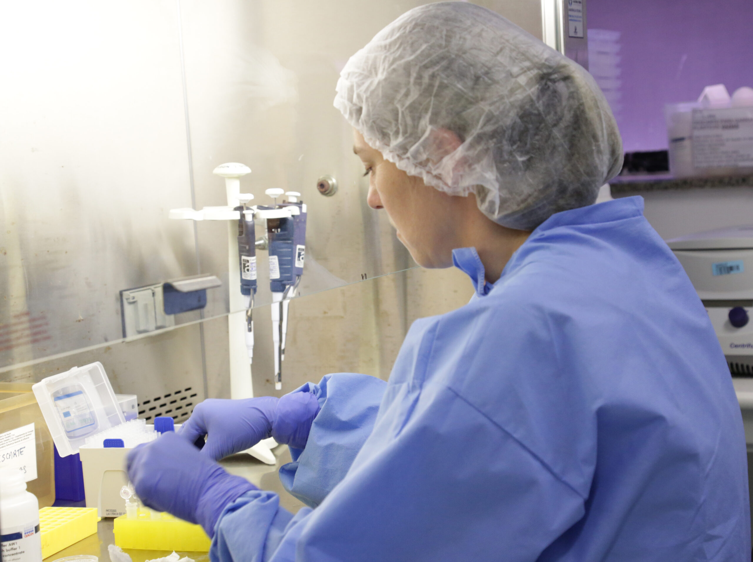 Fiocruz cria protocolo para sequenciamento do novo coronavírus