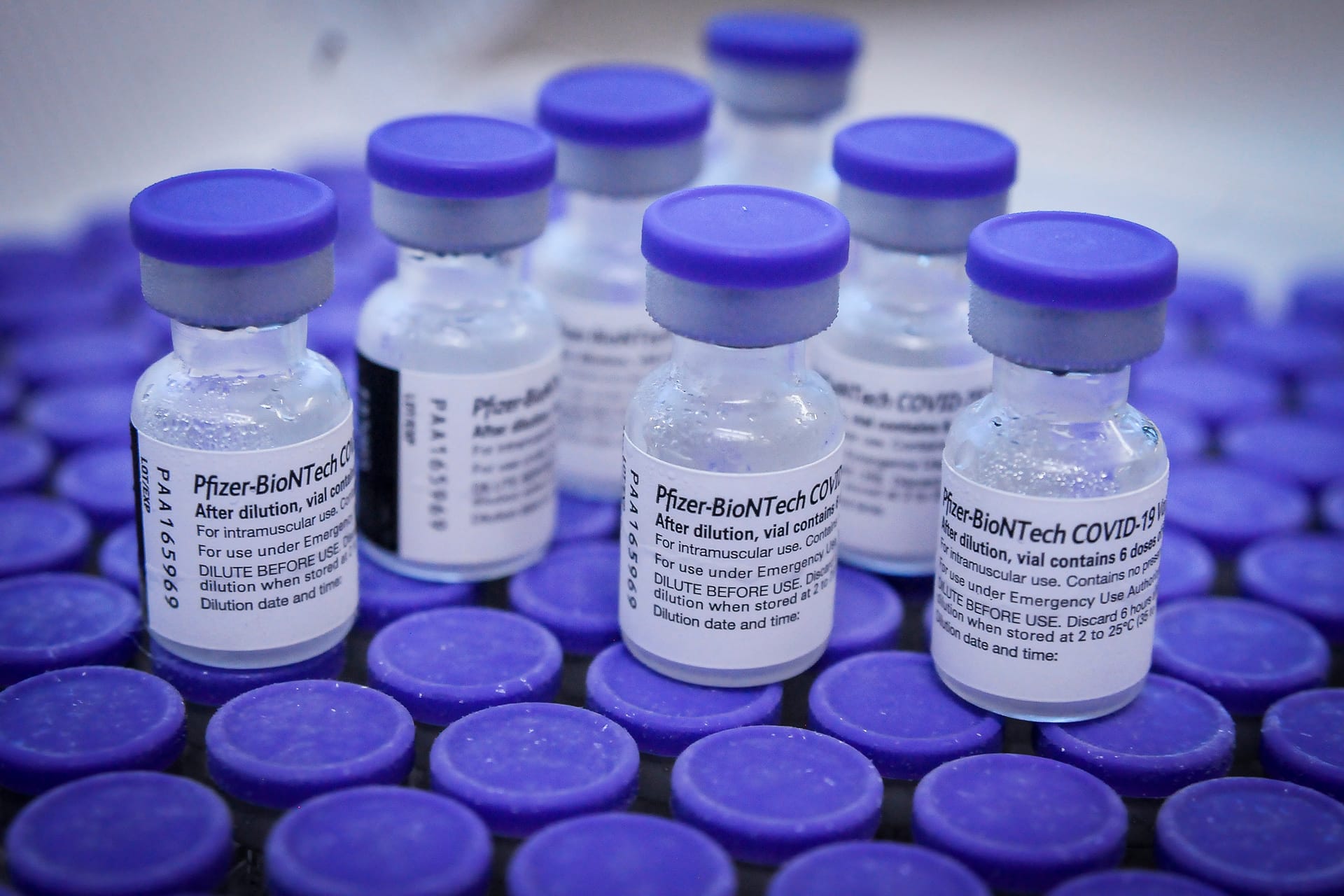 Pfizer/BioNTech é a primeira a divulgar resultados finais sobre eficácia de vacina